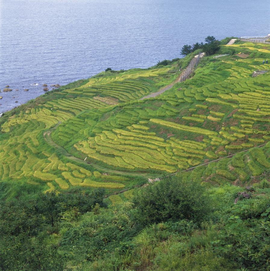 真名井城堡酒店 Anamizu 外观 照片